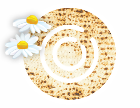 עדכון ימי הפעילות חג פסח